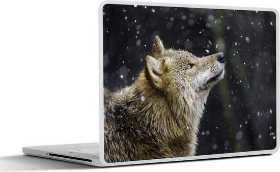 Sticker ordinateur portable - 13,3 pouces - Loup - Neige - Marron