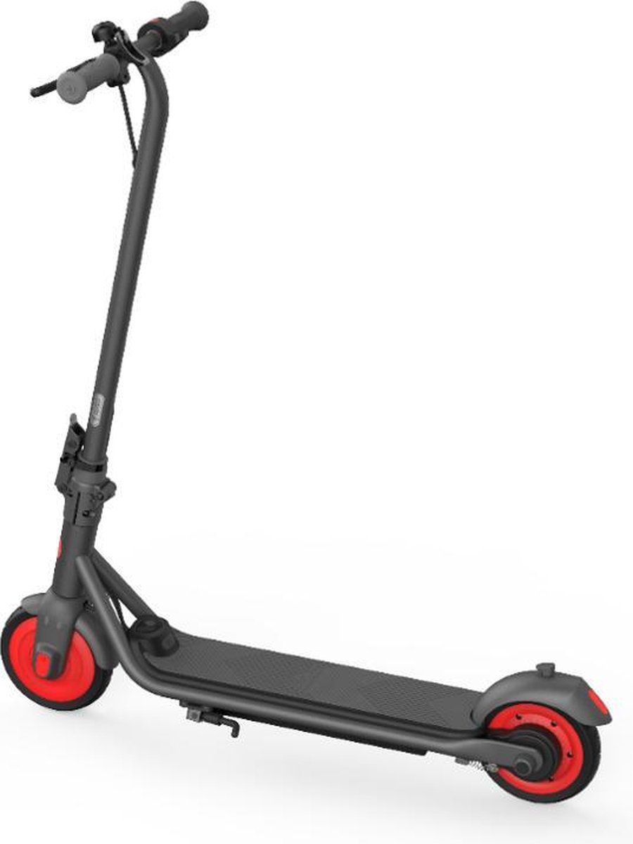 Ninebot kickscooter C20 Powered by Segway - E-step - Actieradius: 20km ...