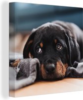 Canvas Schilderij Schattige Rottweiler pup ligt op de vloer - 50x50 cm - Wanddecoratie