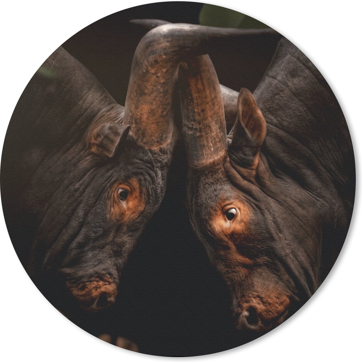 Muismat rond 20x20 cm - Mousepad Dieren - Jungle - Koeien - Ronde muismatten