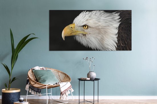 Tableau Toile Aigle - Vogel - Bec - Yeux - 160x80 cm - Décoration murale