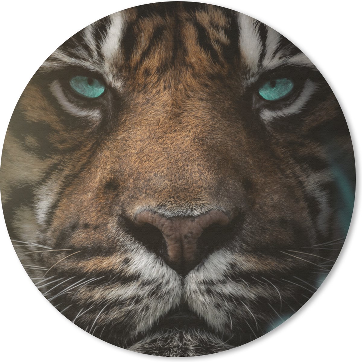 Muismat rond 20x20 cm - Mousepad Jungle - Tijger - Wilde dieren - Ronde muismatten
