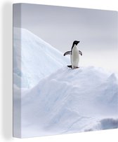 Canvas Schilderij Pinguïn - IJs - Winter - 20x20 cm - Wanddecoratie