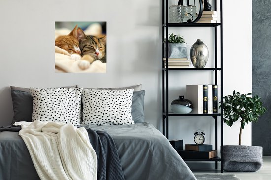 Poster Chats - Dormir - Tapis - 50x50 cm