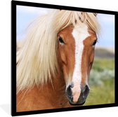 Fotolijst incl. Poster - Portret van een IJslands paard - 40x40 cm - Posterlijst