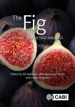 Botany, Production and Uses-The Fig