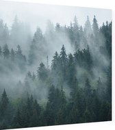 Wandcirkel Misty Forest | Kunststof 40 cm | Botanische wanddecoratie | Ronde schilderijen | Muurcirkel bos in de mist op Forex