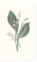 Lelietje-van-dalen (Lily of the Valley) - Foto op Dibond - 40 x 60 cm