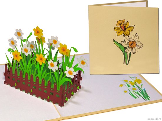 Popcards popupkaarten – Bloemenkaart Narcissen Tuin Bloemenperk Felicitatie Verjaardag pop-up kaart 3D wenskaart
