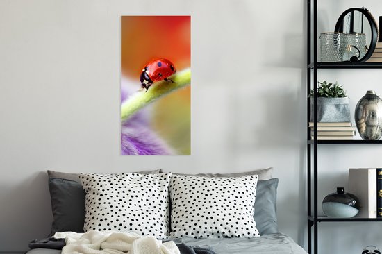Affiche Coccinelle sur une fleur violette - 40x80 cm
