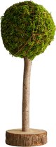 Deco mos boom op houten voet - Natuur - 15x40cm