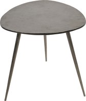 Plantenwinkel Shine L plantentafeltje zilveren sidetable aluminium 47x47x51 cm