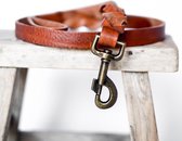 Cooper & Quint Twisted - Laisse pour chien en cuir tressé - Camel - Vieux Messing