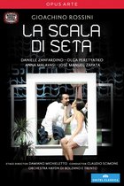 Daniele Zanfardino, Olga Peretyatko, Anna Malavasi, José Manuel Zapata - Rossini: La Sacala Di Seta (DVD)