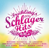 Various Artists - Frühlingsschlager Hits 2019 (2 CD)
