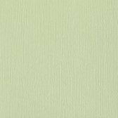 Bazzill Textuurpapier - Mono Canvas - 30.5x30.5cm - Aloe Vera - 25 vellen