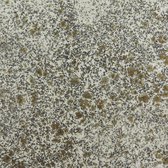 Creative Expressions • Cosmic Shimmer stone age