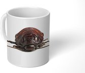 Mok - Sissende kakkerlak - 350 ML - Beker