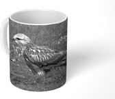 Mok - Ruigpootbuizerd in een herfstlandschap - zwart wit - 350 ML - Beker