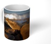 Mok - Zeeleeuwen - Rotsen - Kust - 350 ML - Beker