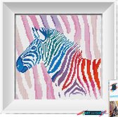 Artstudioclub®  Diamond painting volwassenen 30*30cm  zebra