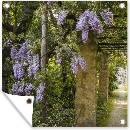 Affiche de Jardin Glycine dans un chemin d'ombre - 200x200 cm | bol.com