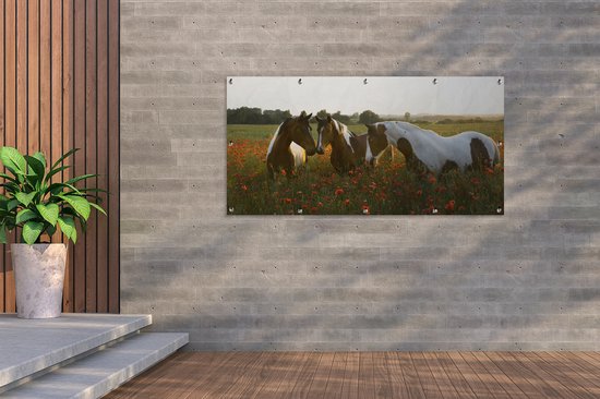 Affiche de clôture Paarden - Fleurs - Soleil - 200x100 cm - Toile de jardin