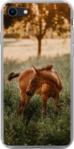 Geschikt voor iPhone 7 hoesje - Paard - Gras - Boom - Siliconen Telefoonhoesje