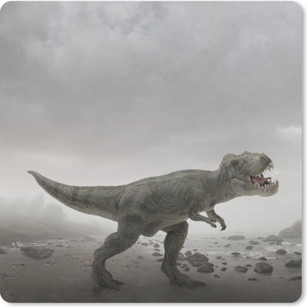 Muismat 20x20 cm - Mousepad Dinosaurus - Zand - Wolken - Muismatten