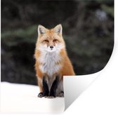 Stickers Stickers muraux - Renard - Neige - Rouge - 100x100 cm - Feuille adhésive XXL