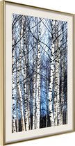 Poster Winter Birch Trees 40x60