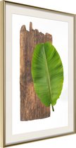 Poster Forest Nature 40x60