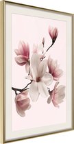 Poster Blooming Magnolias I 30x45