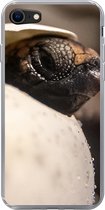 Geschikt voor iPhone SE 2020 hoesje - Schildpad - Baby - Ei - Siliconen Telefoonhoesje