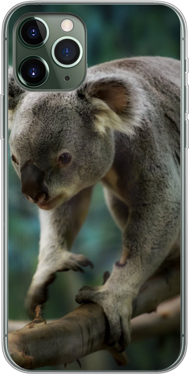 Telefoonhoesje Geschikt voor iPhone 11 Pro hoesje - Koala - Boom - Klimmen - Kids - Jongens - Meiden - Siliconen Telefoonhoesje Telefoonhoesje