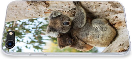 Coque iPhone SE 2020 - Koalas - Enfant - Arbre - Siliconen - Sinterklaas - Noël - Cadeaux - Cadeaux chaussures
