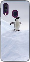 Geschikt voor Samsung Galaxy A40 hoesje - Pinguïn - IJs - Winter - Siliconen Telefoonhoesje
