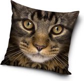 Katten gezicht Sierkussens - Kussen - 40 x 40 inclusief vulling - Kussen van Polyester - KledingDroom®