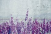 Fotobehang - Lavender Abstract 375x250cm - Vliesbehang