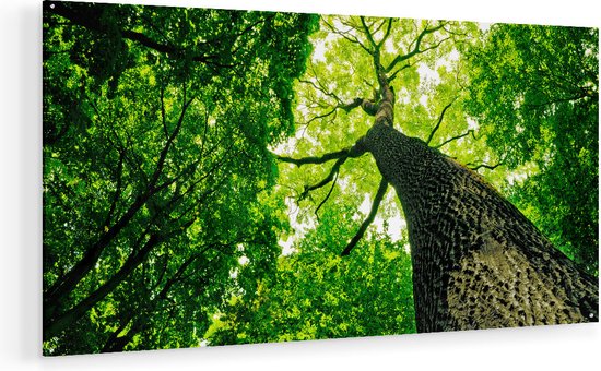 Artaza Glasschilderij - Boom In Het Bos Met Fel Groene Bladeren - 140x70 - Groot - Plexiglas Schilderij - Foto op Glas