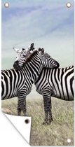Tuinposter Zebra's - Gras - Zwart - Wit - 40x80 cm - Wanddecoratie Buiten - Tuinposter - Tuindoek - Schuttingposter - Tuinschilderij