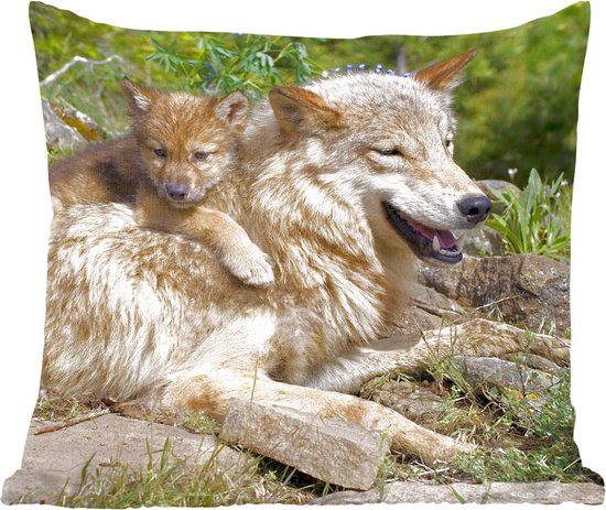 Loup - Petit - Animal