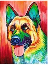Diamond Painting 30 x 20 cm - herder hond  - y1-2090 - vierkante steentjes - pakket volledig - volwassenen - hobby creatief