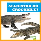 Spot the Differences- Alligator or Crocodile?