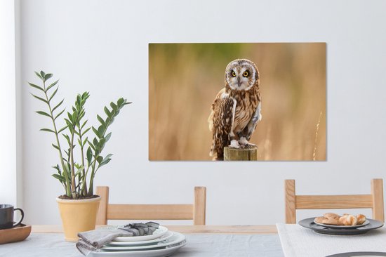 Tableau sur toile Gros plan d'un hibou des marais sur un poteau en bois - 90x60 cm - Décoration murale