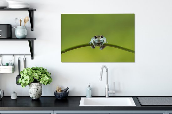Tableau Grenouille - Branche - Vert - 60x40 cm - Décoration murale