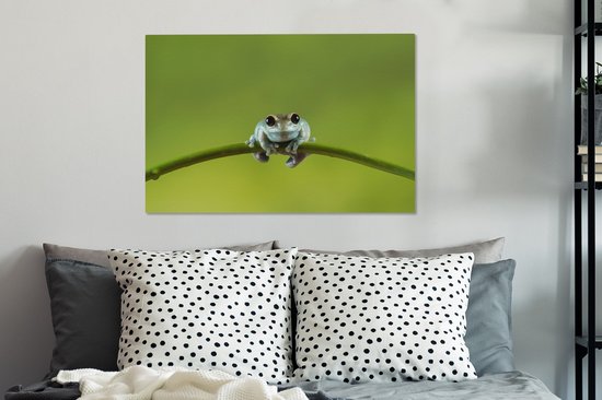Tableau Grenouille - Branche - Vert - 60x40 cm - Décoration murale