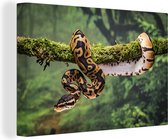 Canvas Schilderij Een slang in een boom - 60x40 cm - Wanddecoratie