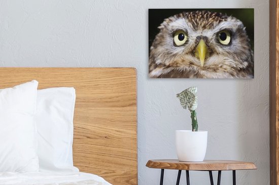 Tableau sur toile Gros plan d'un hibou marron - 30x20 cm - Décoration murale