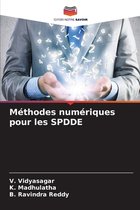Méthodes numériques pour les SPDDE